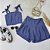 Conjunto Short saia rodado com blusinha - Imagem 2