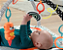 Ginásio de Atividades Musical Fisher Price - Imagem 7