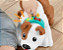Cachorrinho Engatinha Comigo - Fisher Price - Imagem 5