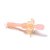 Escova de dente de silicone Haakaa 360 - Cor Rosa - Imagem 1