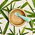 Kit Tigela Bambu com Ventosa e Colher Silicone Munchkin - Imagem 6