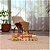 Brinquedo Trenzinho de Madeira Boho Chic - Tiny Love - Imagem 2