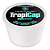 Esponja Box Tropicap Tropical derm P Tatuagem Tattoo caixa c/ 24un - Imagem 5