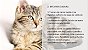 PREPARE PETISCOS CASEIROS IRRESISTÍVEIS PARA SEU GATO - 40 receitas para mimar seu gato - Imagem 6