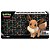Playmat Emborrachado Pokémon - Eevee (61x34 cm) | Ultra PRO - Imagem 1