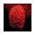 Sirchie Red 28 Corante Fluorescente para Revelação de Impressão Latente 25 gramas - Imagem 1