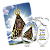 Chaveiro Nossa Senhora Aparecida - Imagem 1