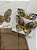 Conjunto Borboleta Dourada (Short Saia) - Imagem 2