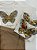 Conjunto Borboleta Dourada (Short Saia) - Imagem 4