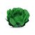 Forma Majestic Verde Folha 30 Unidades M16 - Imagem 1