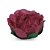 Forma Majestic Marsala 30 Unidades M16 - Imagem 1