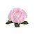 Decora Bela 30 Un Rs Claro - Imagem 1