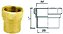 Adaptador Bronze Ramo P 28 RF 1" - Imagem 1