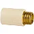 Conector Transição Macho Cpvc Dn 35 X 1 1/4”  Amanco - Imagem 1