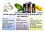 Doterra® Introductory Kit - Kit De Apresentação - Imagem 4