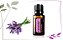 Lavender Óleo Essencial (Lavanda) - Imagem 7
