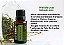 Melaleuca Óleo Essencial (Tea Tree) - Imagem 6