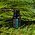 Óleo Essencial de Cipreste doTERRA 15ml - Imagem 3