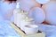 Kit Higiene Porcelana Poa Tampa e Bandeja Madeira - Imagem 5
