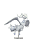 Reshiram - Pokemon - Plastic Model Kit (Bandai) - PRONTA ENTREGA - Imagem 2
