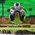 Dragon Ball Z - Freeza - First Form - Ichiban Kuji - (A Prize) - Masterlise (Bandai Spirits) - PRONTA ENTREGA - Imagem 1