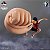 One Piece Monkey D. Luffy Ichiban Kuji One Piece TV Anime 25th Anniversary (C Prize) - RESERVA - Imagem 1