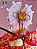SoniComi (Super Sonico) - Sonico - F:Nex - 1/4 - Nihon Ningyou (FuRyu, Yoshitoku) - RESERVA - Imagem 12