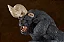 Berserk - Zodd - Pop Up Parade - L (Max Factory) - PRONTA ENTREGA - Imagem 10