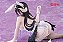 Overlord - Albedo - Desktop Cute - Bunny ver., Renewal (Taito) - RESERVA - Imagem 9