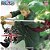 One Piece - Roronoa Zoro - Senkou Zekkei - Egghead Ver. (Bandai Spirits) - RESERVA - Imagem 1