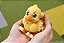 Final Fantasy - Chocobo - Nendoroid (#3019) (Good Smile Company) - PRÉ-VENDA - Imagem 6