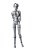 S.H.Figuarts - Body-chan - Wire Frame, Gray Color Ver. (Bandai Spirits) - Pronta Entrega - Imagem 1