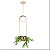 PENDENTE ARCO PRETO FLOREIRA CHAMPAGNE OLD ARTISAN - Imagem 1
