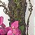 ARRANJO DE PAREDE PLACA ORQUIDEA - Imagem 3