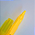 Marca texto Flash Neon (1 unidade) - Imagem 2