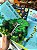 Incríveis Pop-Ups - Imagem 2