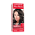 Tonalizante Alta Moda 50.            .Castanho Claro - Imagem 1
