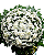 Coroa de Flores Branca - Imagem 1