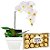 Orquídea Phalaenopsis - Luxo - Imagem 1