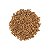 Coentro em Grãos BR Spices 38g - Imagem 2