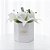 Box Flowers Branco Flor de Lírio - Empório Essenza - Imagem 3