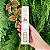 Difusor de Ambientes Goloka - White Musk - Imagem 3