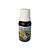 Essência de Ervas e Especiarias 15ml - Cânfora - Imagem 1