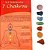 Kit Pedras 7 Chakras - Imagem 1