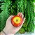 Sabonete de Fruta Artesanal - Maçã G - Imagem 2