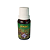 Essência Importada de Pinho 15ml - Combate o Esgotamento - Imagem 1