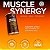 MUSCLE SYNERGY 454G,5G/15 DS - Imagem 2