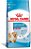 Royal Canin Cão Mini Indoor Puppy - Imagem 1
