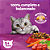Ração para Gatos Adultos whiskas carne - Imagem 2
