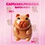 Taba Squishy Capivara Tik Tok Macio Divertido - Imagem 3